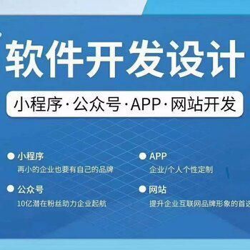 軟件開發公司常見定制開發類型有哪些 悠速系統