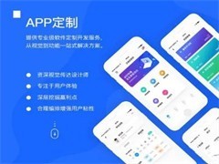 東莞軟件開發公司